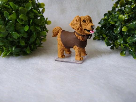 Cachorrinho comeu o bolo