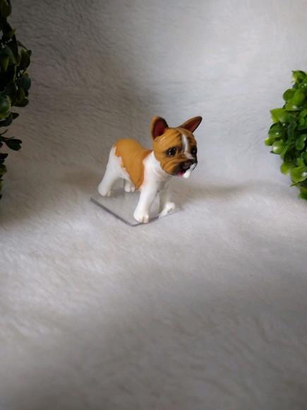 Cachorrinho comeu o bolo