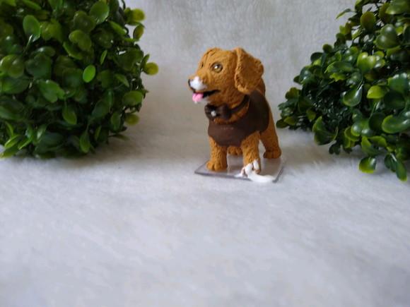Cachorrinho comeu o bolo
