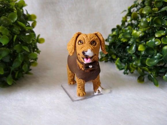 Cachorrinho comeu o bolo