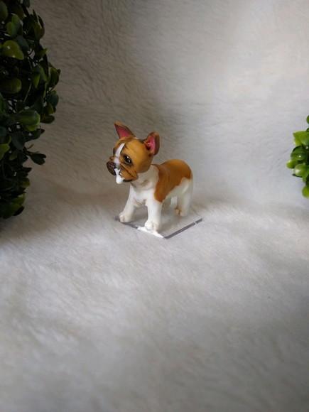 Cachorrinho comeu o bolo
