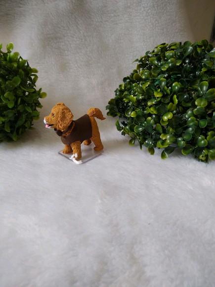 Cachorrinho comeu o bolo