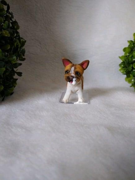 Cachorrinho comeu o bolo