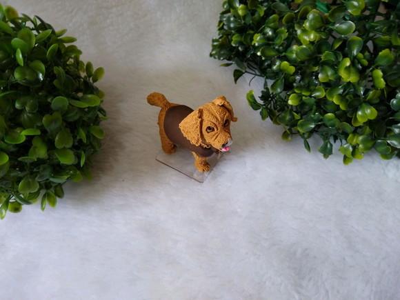 Cachorrinho comeu o bolo
