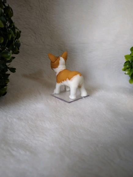 Cachorrinho comeu o bolo