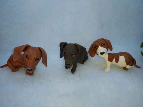 Cachorrinhos