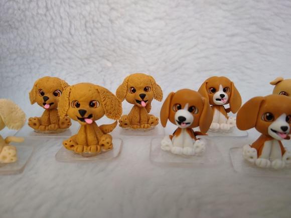 Cachorros