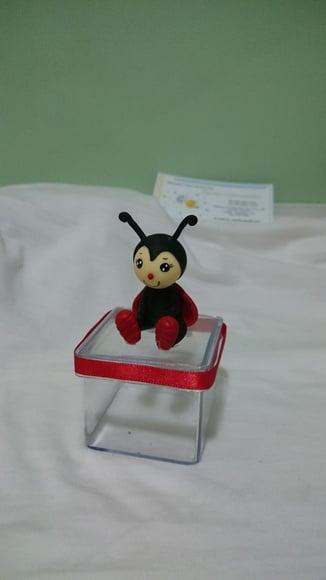 Caixinha Acrilico Joaninha
