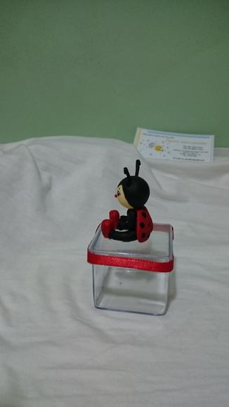 Caixinha Acrilico Joaninha