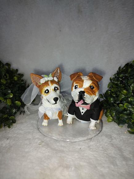 Casal de Pets