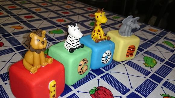 Cubo safari
