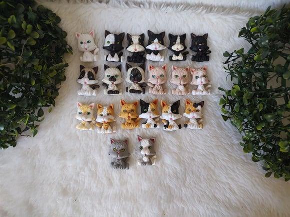 Imã Gatinho