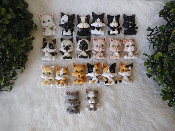 Imã Gatinho