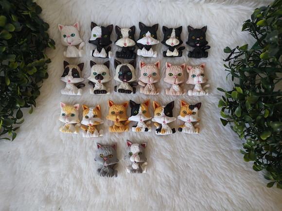 Imã Gatinho