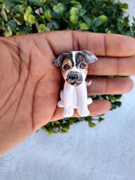 Miniatura Cachorros e Gatos