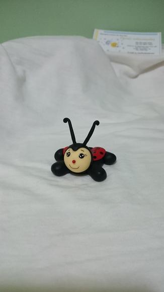 porta doce joaninha
