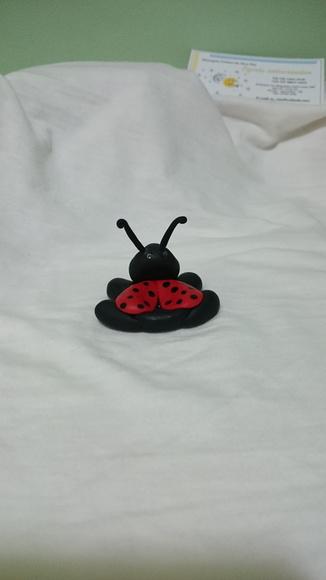 porta doce joaninha