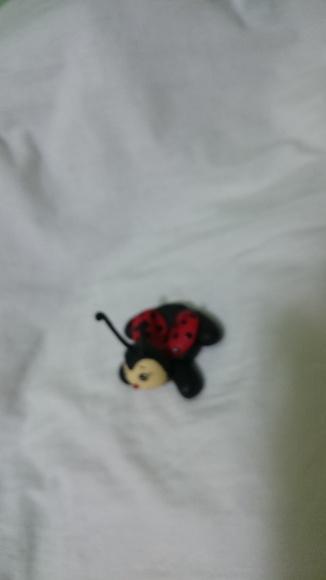 porta doce joaninha