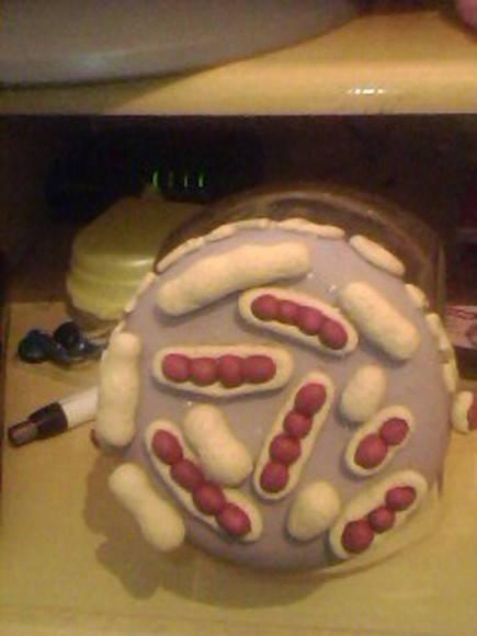 pote de amendoin