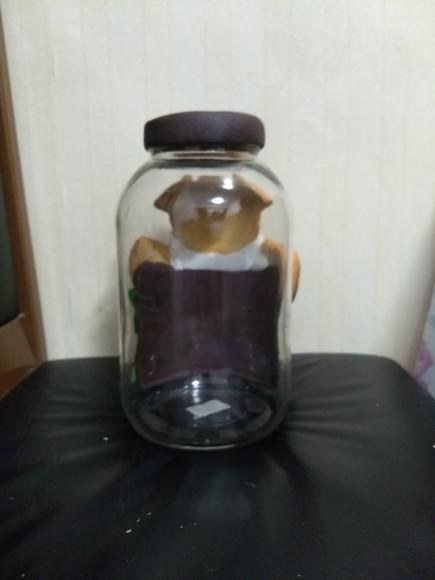 Pote de cachorro