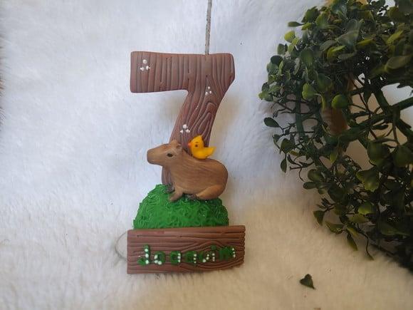 Vela Capivara
