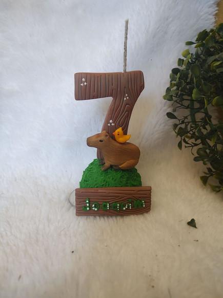 Vela Capivara