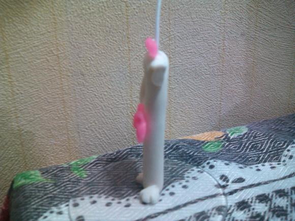 Vela da gata marie