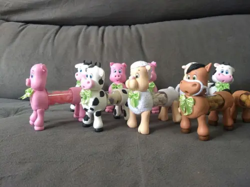 Animais Fazenda Tubet