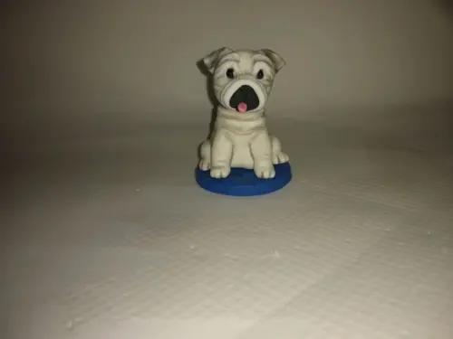 Cachorrinho
