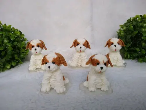 Cachorrinho