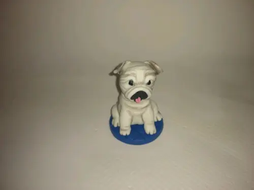 Cachorrinho