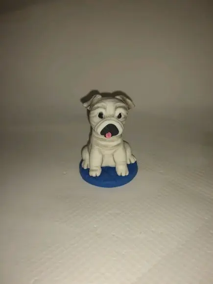 Cachorrinho