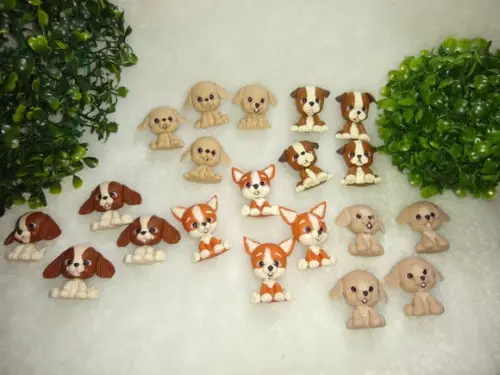 Cachorrinho
