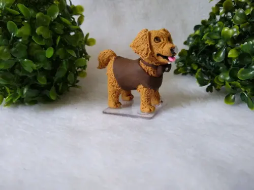 Cachorrinho comeu o bolo