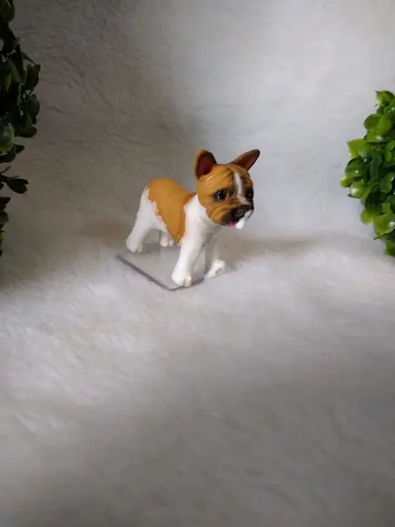 Cachorrinho comeu o bolo