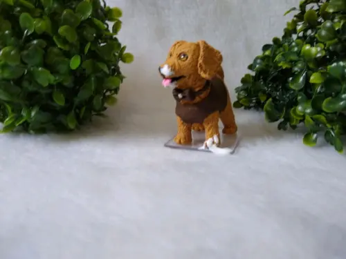 Cachorrinho comeu o bolo