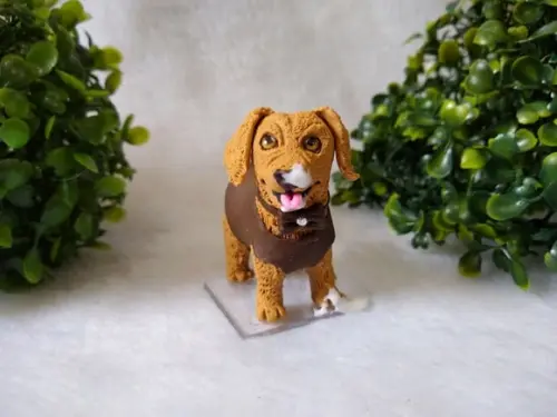Cachorrinho comeu o bolo