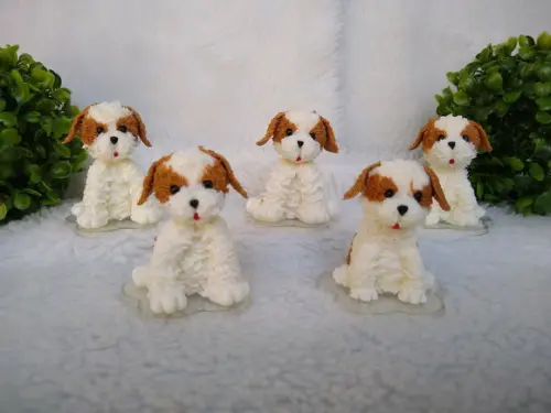 Cachorrinho