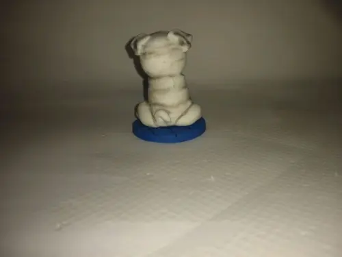 Cachorrinho