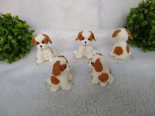 Cachorrinho