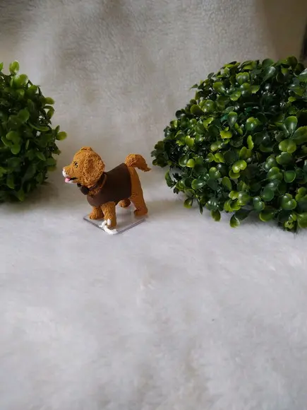 Cachorrinho comeu o bolo