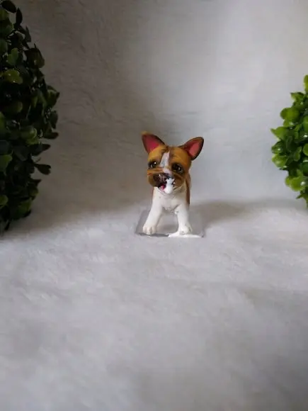 Cachorrinho comeu o bolo