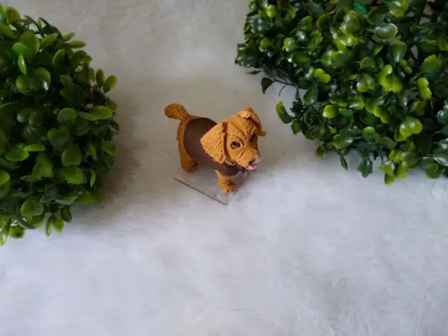 Cachorrinho comeu o bolo