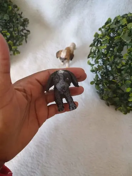 Cachorrinho Personalizado em Pé