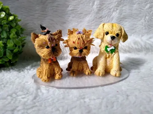 Cachorrinhos