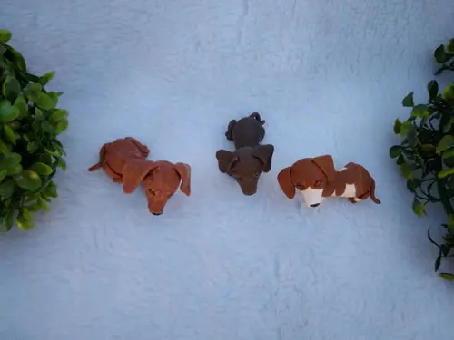 Cachorrinhos