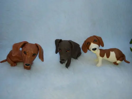Cachorrinhos