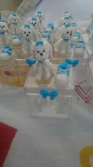 caixa acrílica cachorrinho com tenis