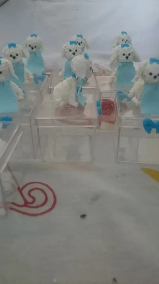 caixa acrílica cachorrinho com toalha