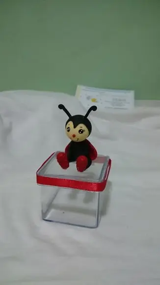 Caixinha Acrilico Joaninha
